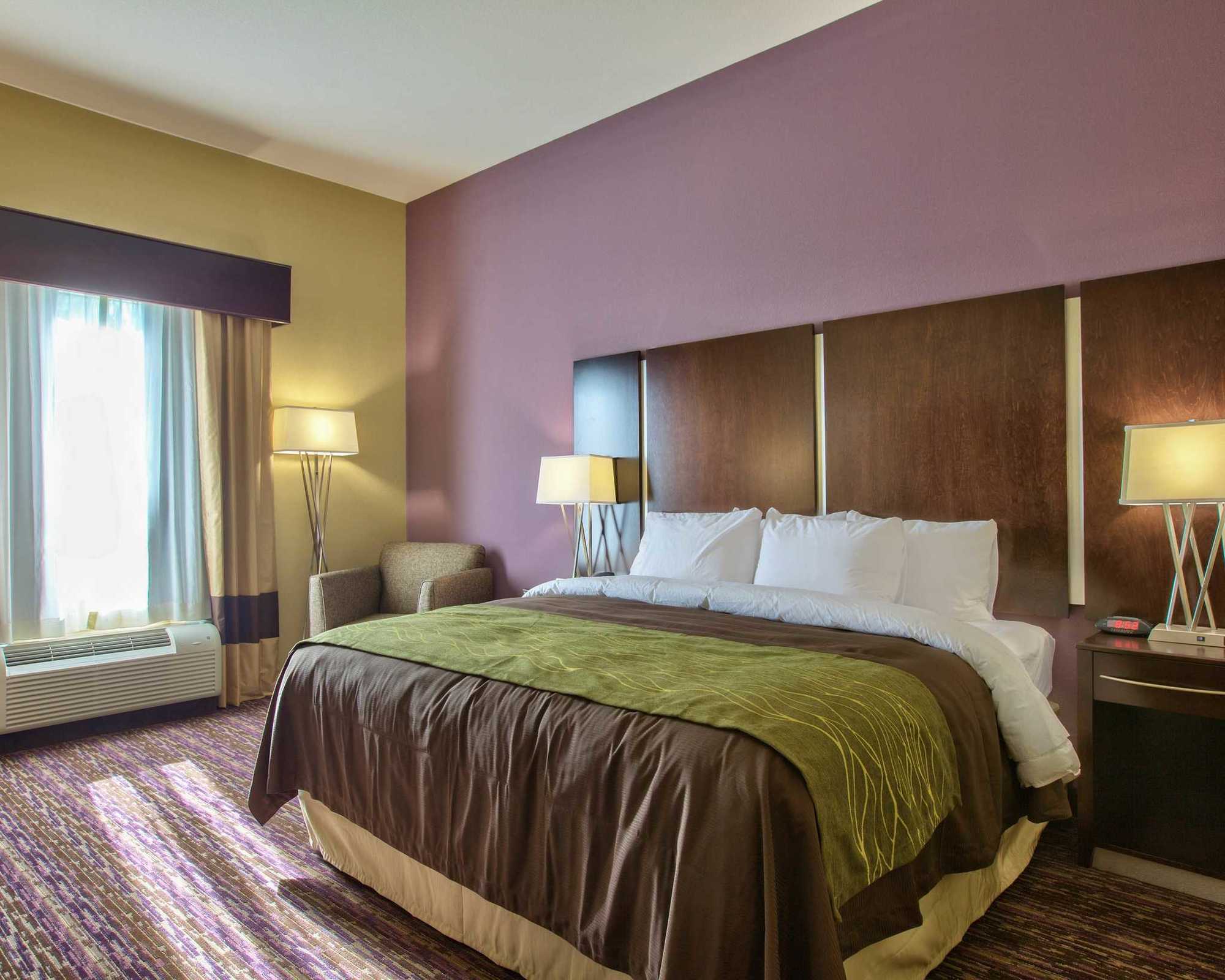 Comfort Inn & Suites Dothan East Bilik gambar